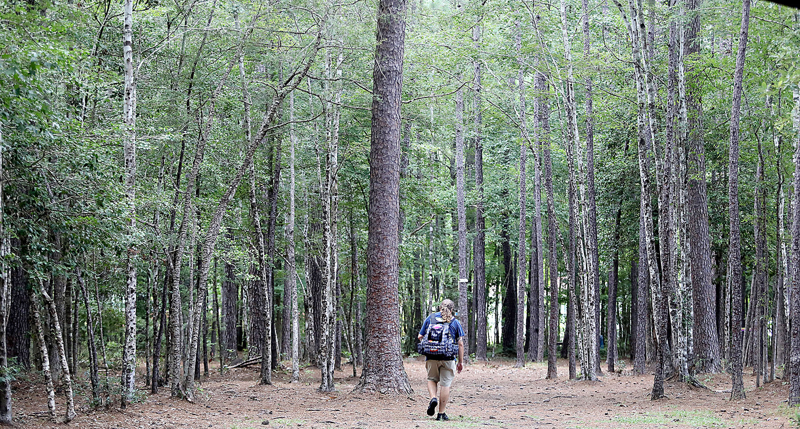 623 disc golf_JM02.JPG